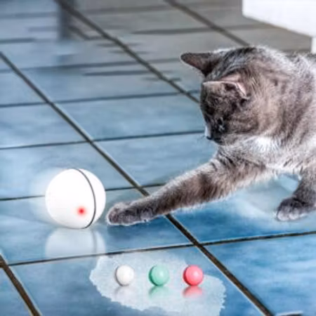 Kattleksak självrullande boll