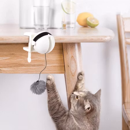 Köp elektrisk kattleksak fånga bollen