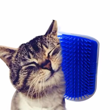 Köp katt Groomer katten borstar själv