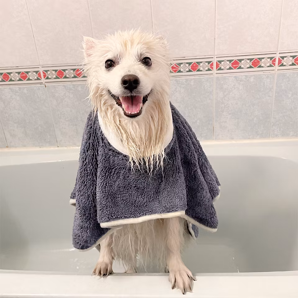 mjuk handduk och badrock för hund