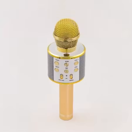 Bluetooth karaoke mikrofon med högtalare