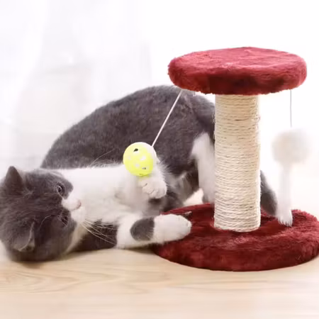Klösträd med boll och fjäder för katt