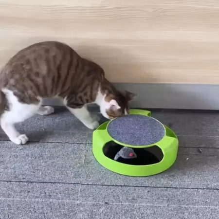 Leksak till katten (fånga musen)
