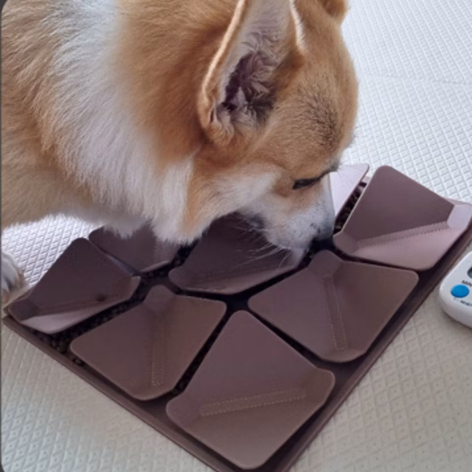 Aktiveringsmatta för hund – leta godis och stimulera nosarbete.