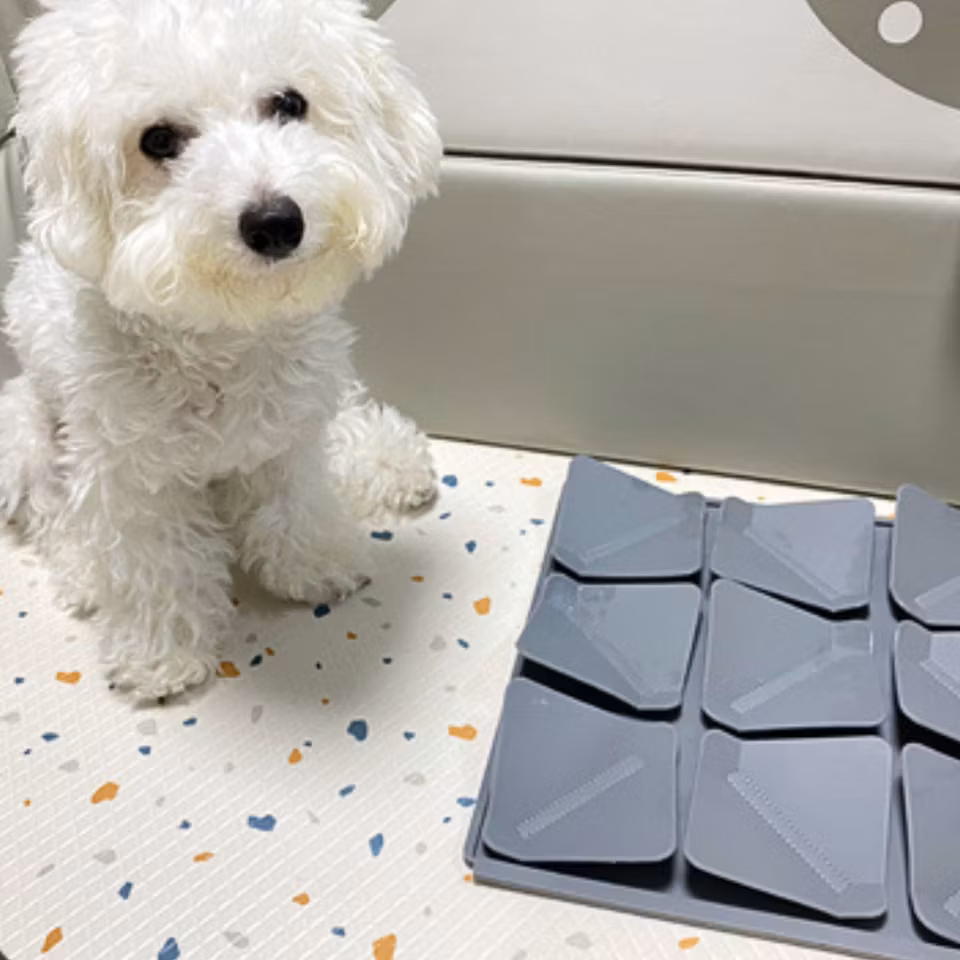 Aktiveringsmatta för hund – leta godis och stimulera nosarbete.