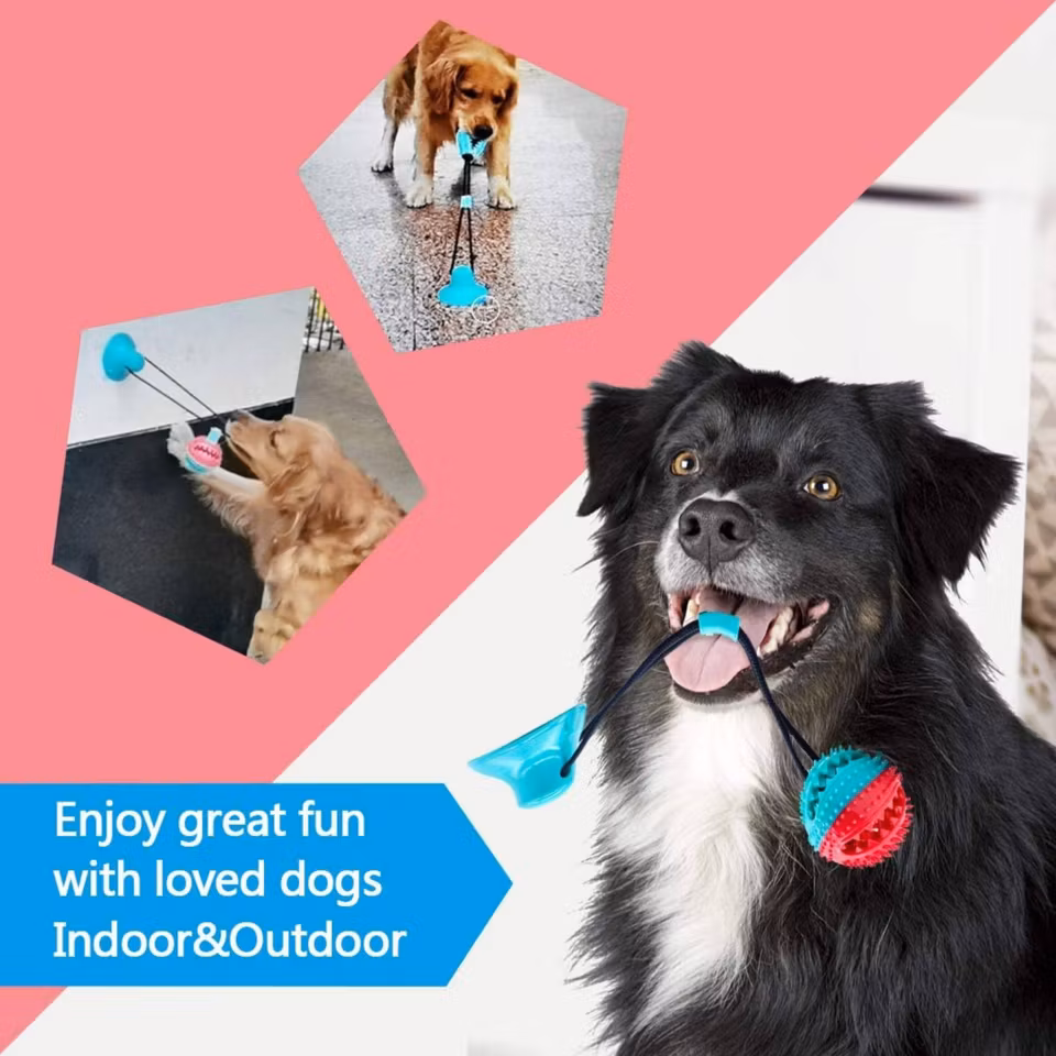 Aktivitetsleksak för hund, TugFeed tuggeleksak med hållbart material och lekfullt design