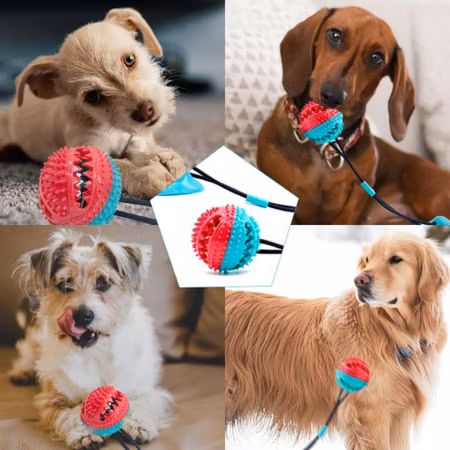 TugFeed aktiveringsleksak till hunden