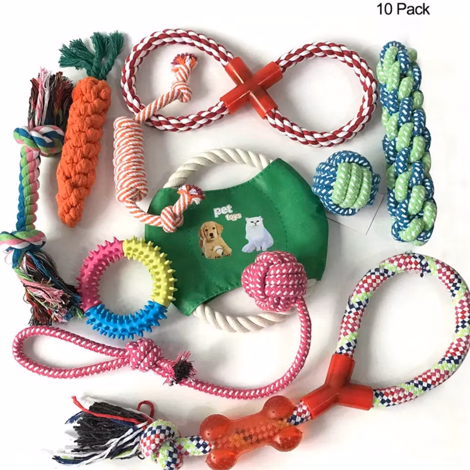 Tuggleksaker för hund – 10-pack med slitstarka tuggleksaker för aktivering och tandhälsa