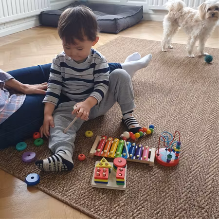 Montessori leksaker i trä 5-pack för lek & lärande