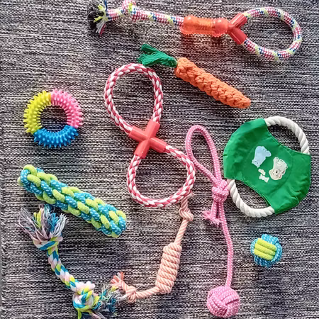 Aktivitets- och tuggleksaker för hund 10-pack