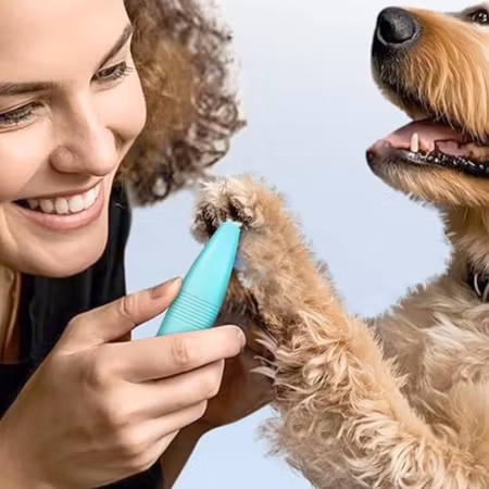 Tyst och sladdlös trimmer för hund och katt trygg trimning hemma