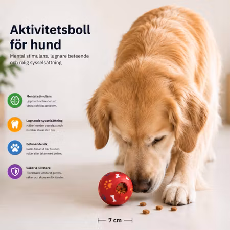 Hund aktivitetsboll godisdisboll mental stimulans