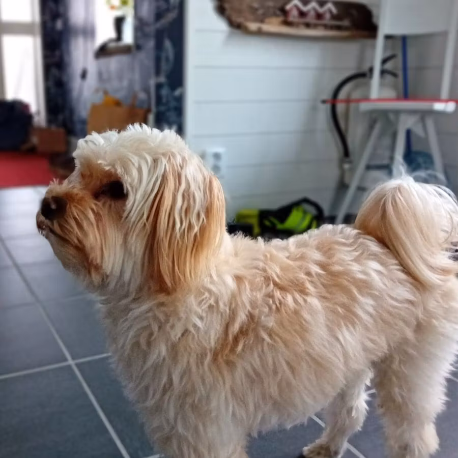 Coolaste Prylarna – Kreativa produkter