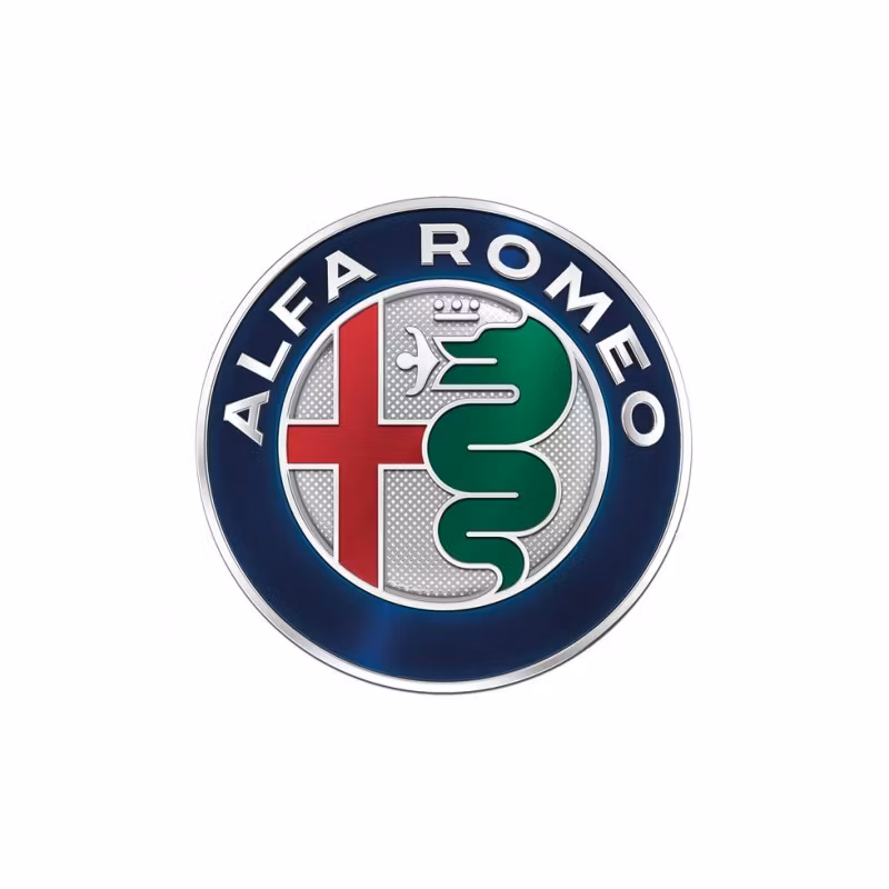 Alfa Romeo Läder & Vinylfärg (PREMIUM)