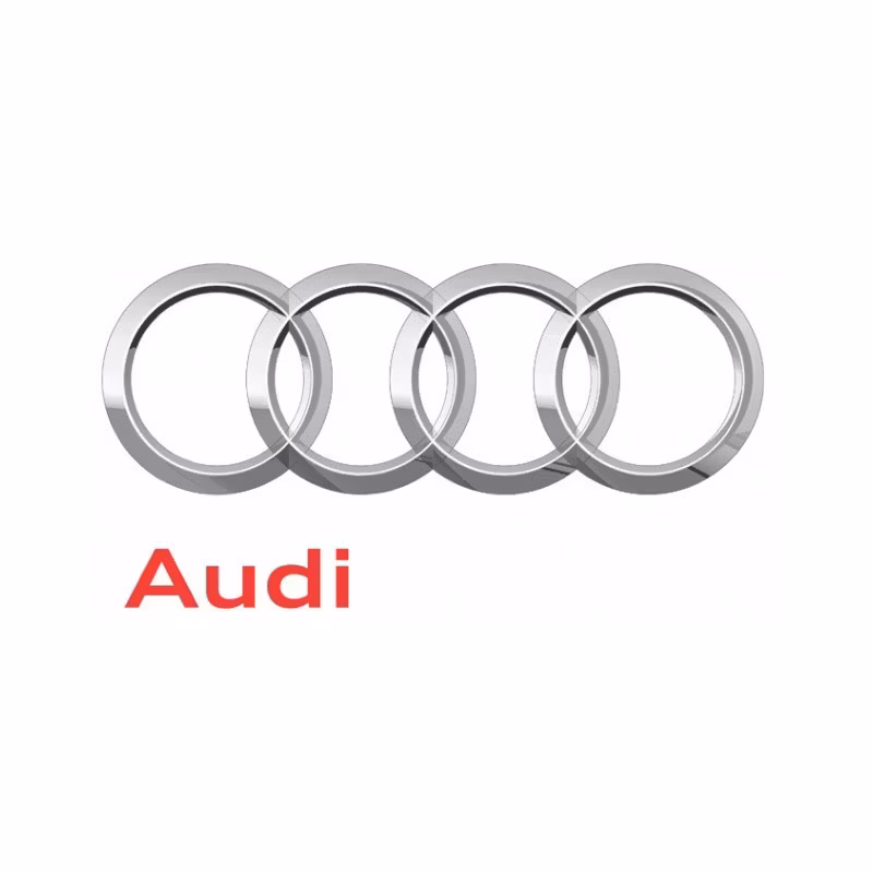 Audi Läder & Vinylfärg (PREMIUM)