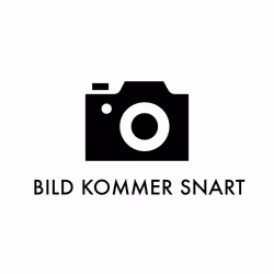 RM Marvelous | Krukad planta