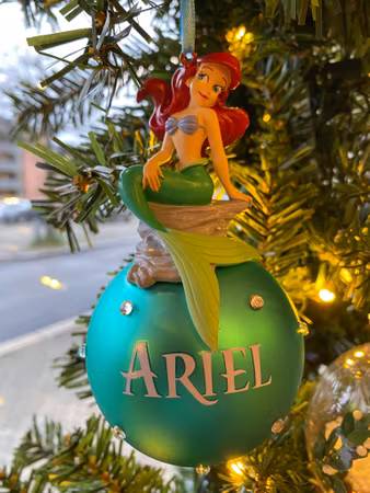 Ariel julekule