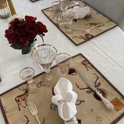 H & H Coasters