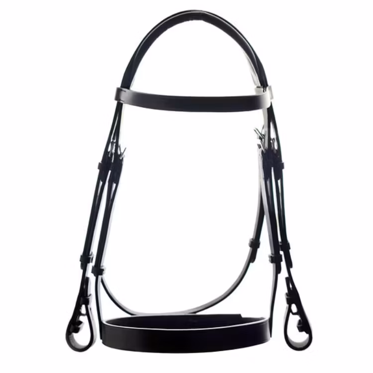 Ascot Showträns - Cob