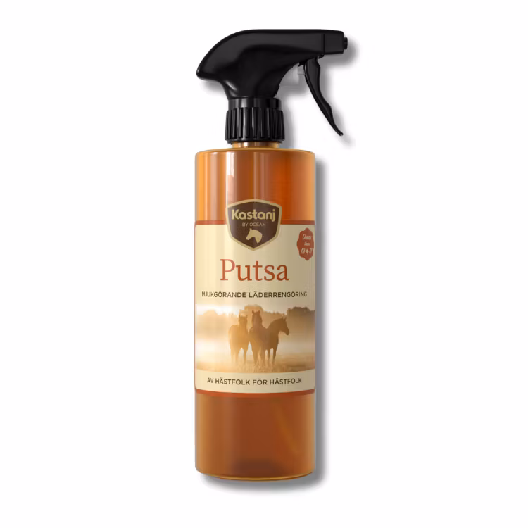 Kastanj Putsa