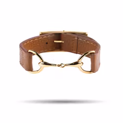 Gold Bit Brown