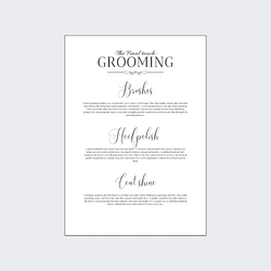 H & H Poster 30x40 - Grooming