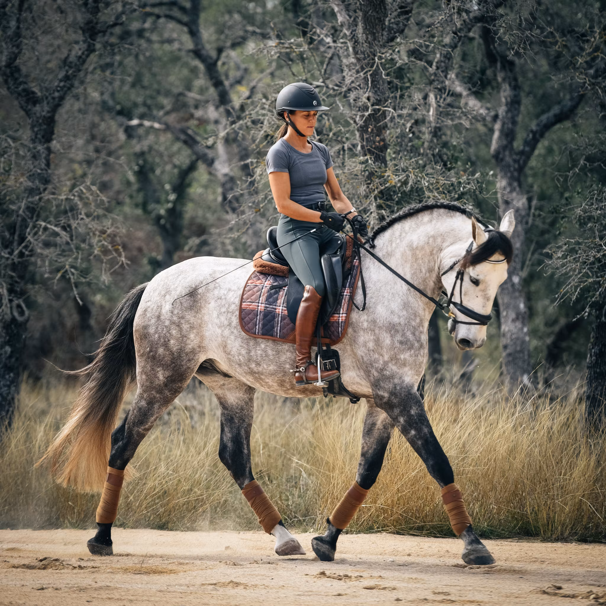 16C Heritage Check Dressyrschabrak