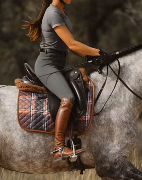 16C Heritage Check Dressyrschabrak