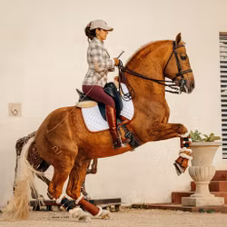 16C Classic White Dressyrschabrak