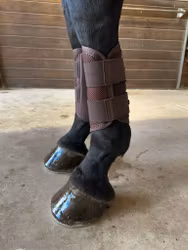 Strykkappor med mesh