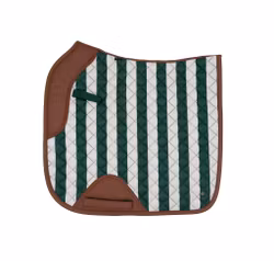 16C Classic Stripe Dressyrschabrak