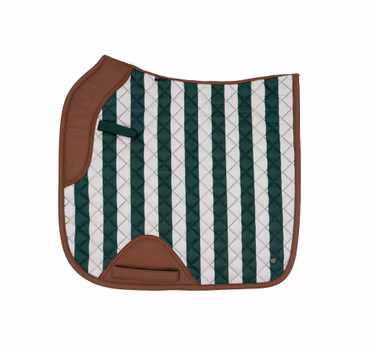 16C Classic Stripe Dressyrschabrak