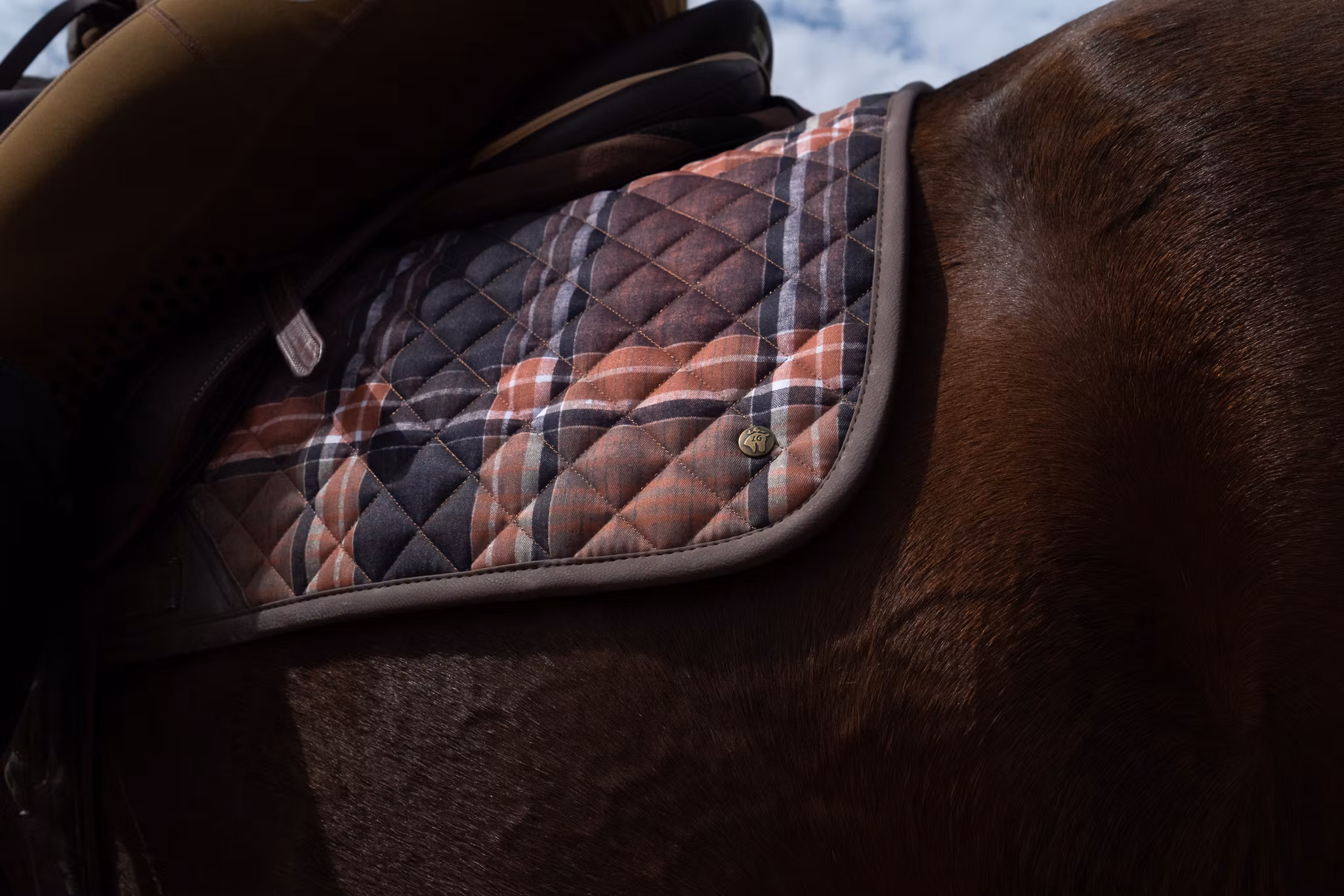 16C Heritage Check Hoppschabrak