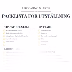 Packlista för utställning