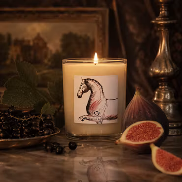 H & H Doftljus - Dressage
