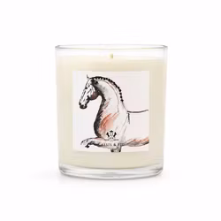 H & H Doftljus - Dressage