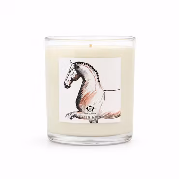 H & H Doftljus - Dressage