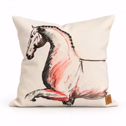 H & H Kuddfodral - Dressage