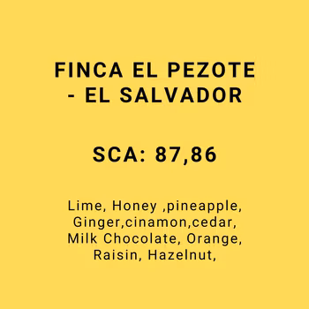 FINCA EL PEZOTE - EL SALVADOR