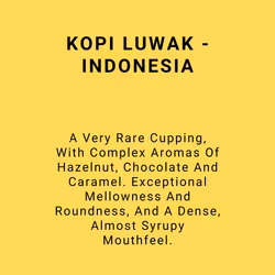 KOPI LUWAK - INDONESIA