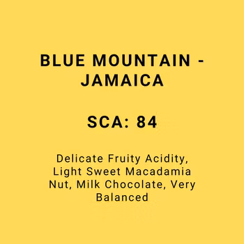 BLUE MOUNTAIN - JAMAICA