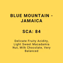 BLUE MOUNTAIN - JAMAICA