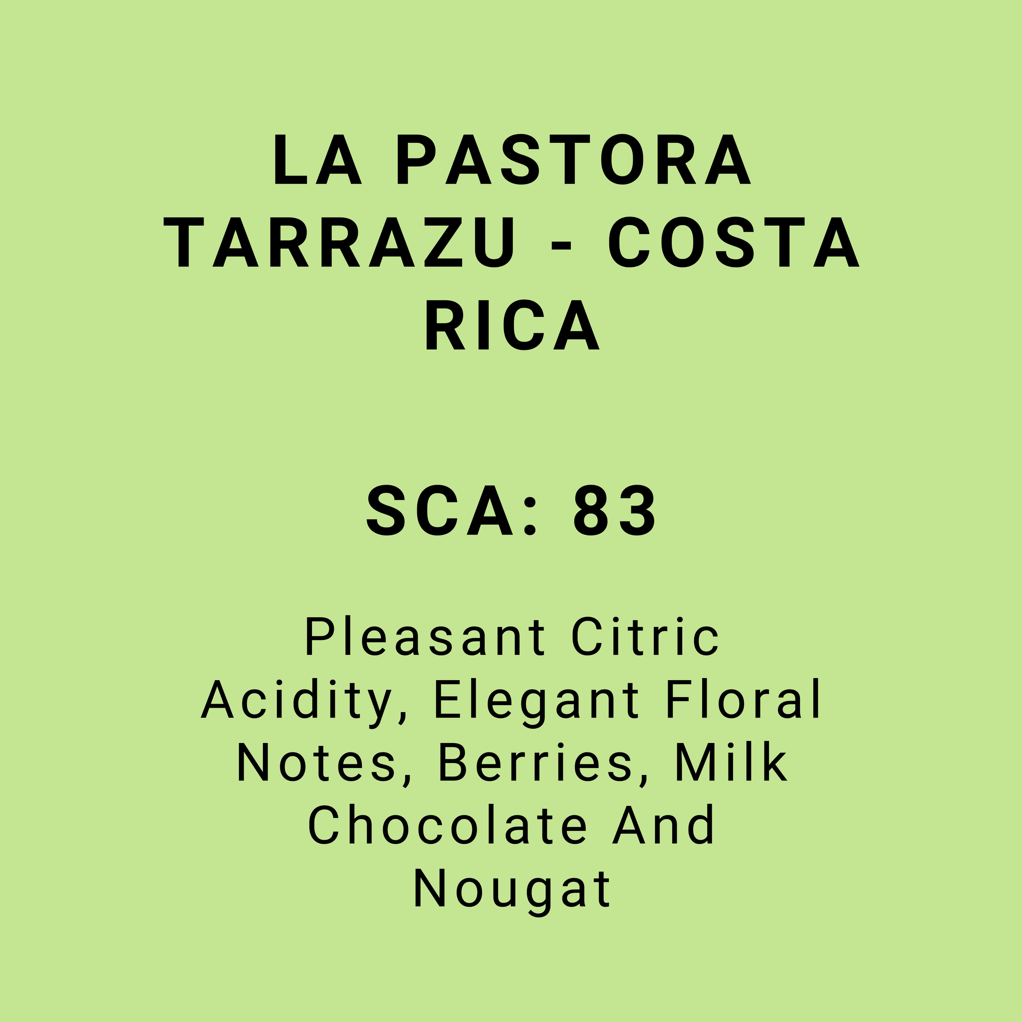 LA PASTORA TARRAZU - COSTA RICA