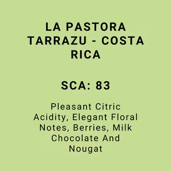 LA PASTORA TARRAZU - COSTA RICA