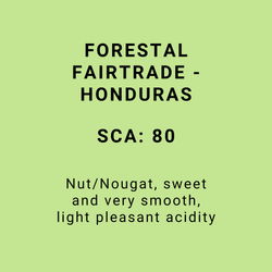 FORESTAL FAIRTRADE - HONDURAS