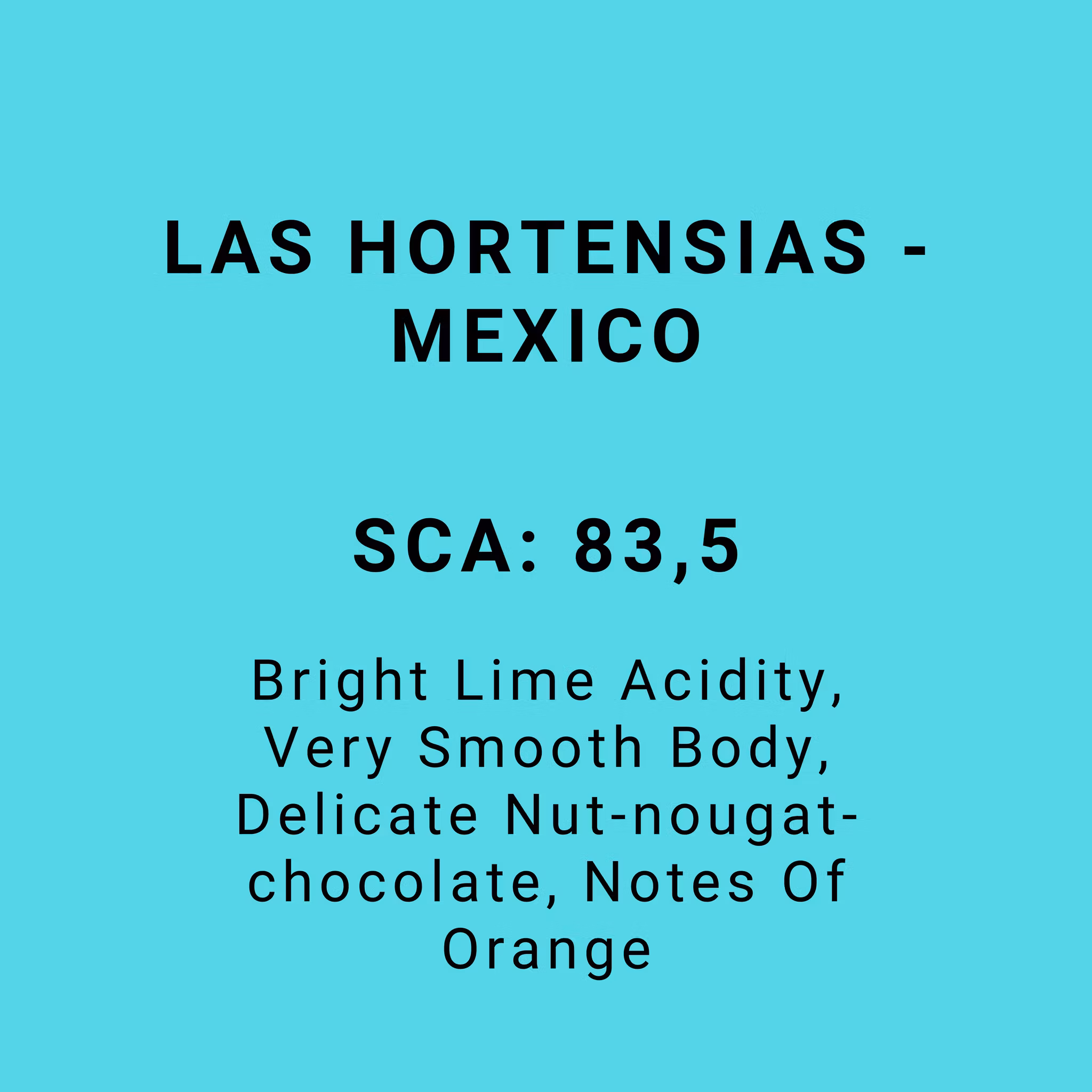 LAS HORTENSIAS - MEXICO