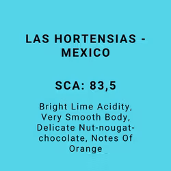 LAS HORTENSIAS - MEXICO