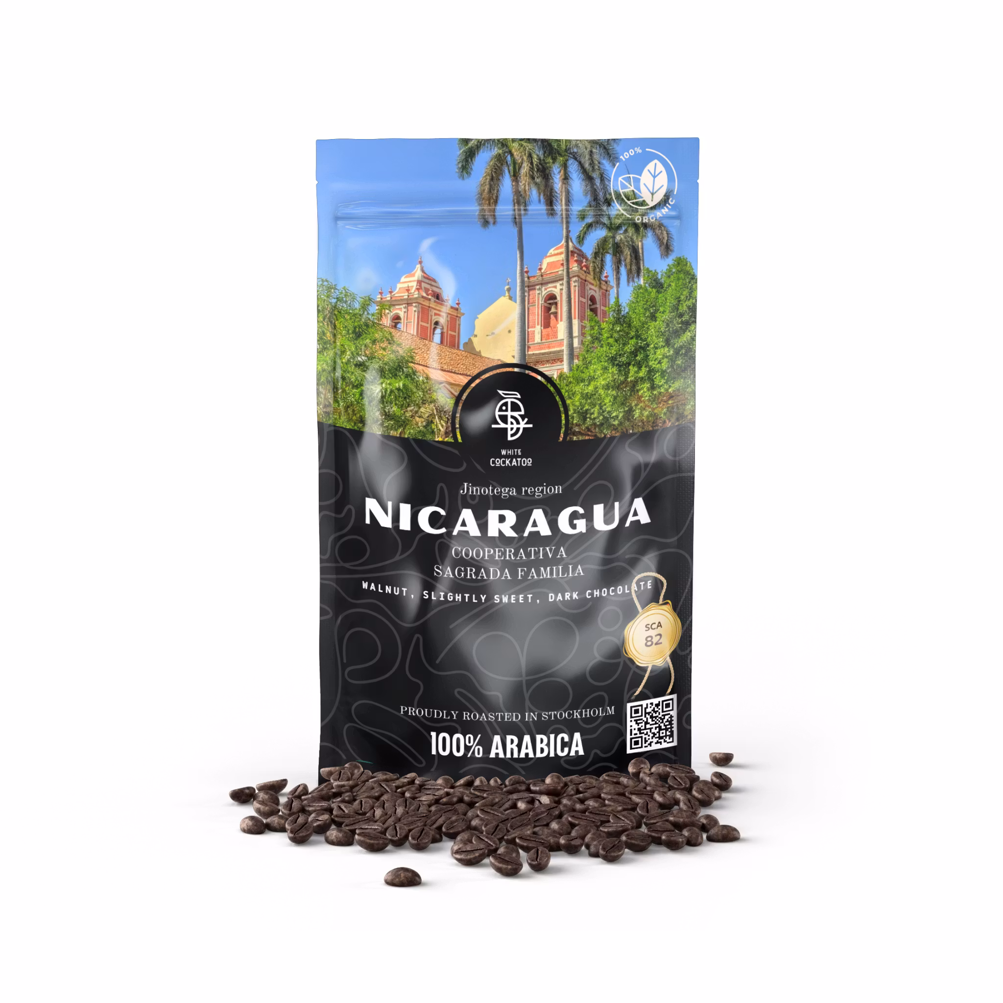 SAGRADA FAMILIA - NICARAGUA