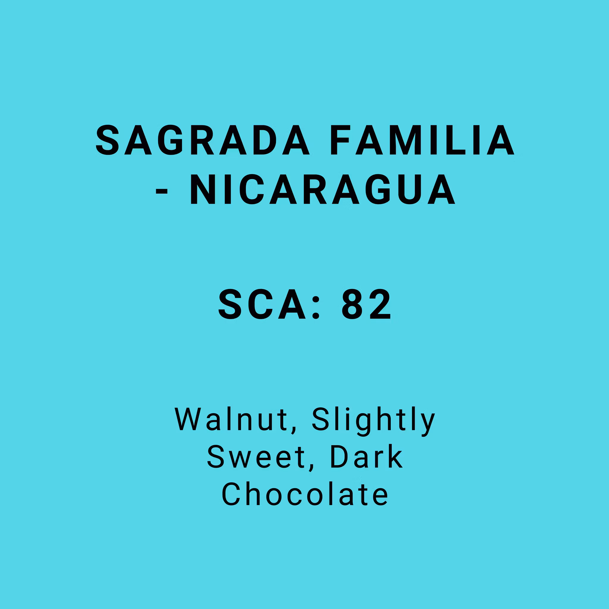 SAGRADA FAMILIA - NICARAGUA