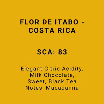FLOR DE ITABO - COSTA RICA